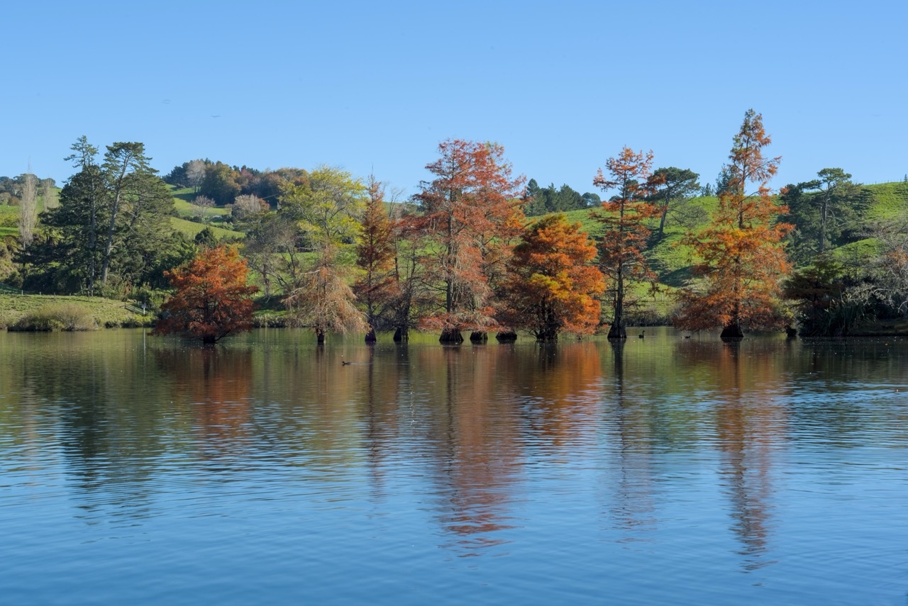 秋天的 McLaren Falls Park